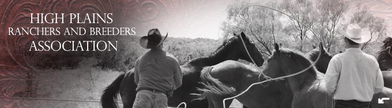 High Plains Ranchers & Breeders Association